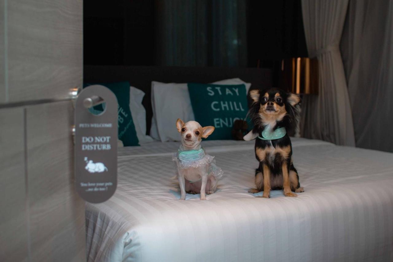 Cross Vibe Pattaya Seaphere Hotel Na Chom Thian